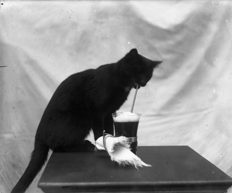 Black Cat on Stand [plate 061]